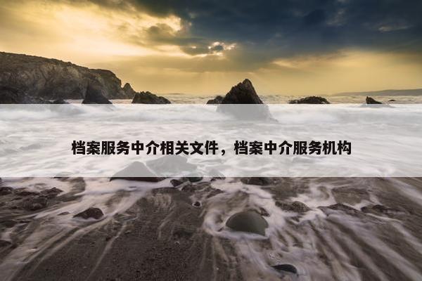 档案服务中介相关文件，档案中介服务机构