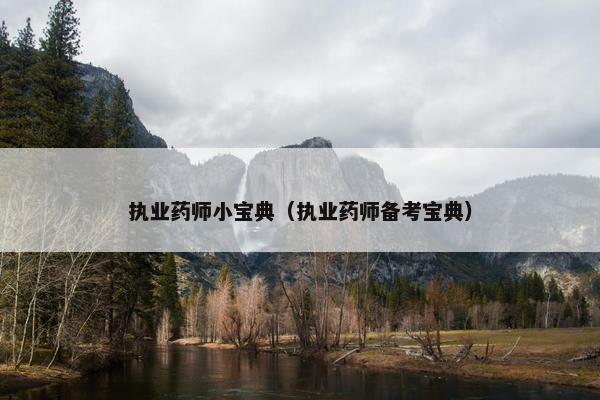 执业药师小宝典(执业药师备考宝典) 执业药师小宝典(执业药师备考宝典)