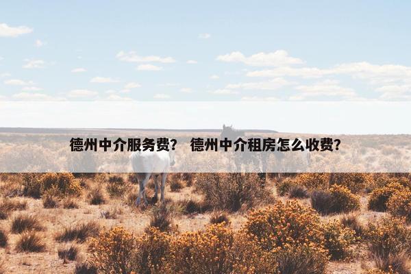 德州中介服务费? 德州中介租房怎么收费? 德州中介服务费? 德州中介租房怎么收费?