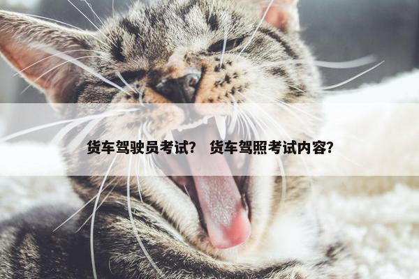 货车驾驶员考试? 货车驾照考试内容? 货车驾驶员考试? 货车驾照考试内容?