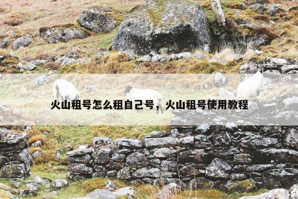 火山租号怎么租自己号,火山租号使用教程 火山租号怎么租自己号,火山租号使用教程