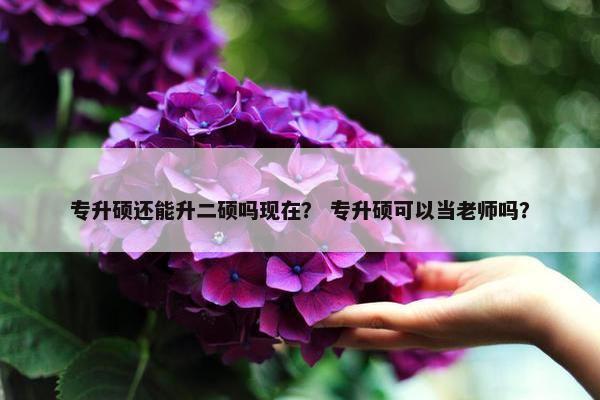 专升硕还能升二硕吗现在? 专升硕可以当老师吗? 专升硕还能升二硕吗现在? 专升硕可以当老师吗?