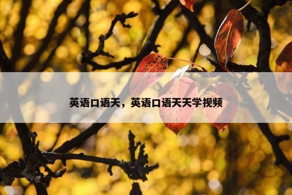 英语口语天,英语口语天天学视频 英语口语天,英语口语天天学视频