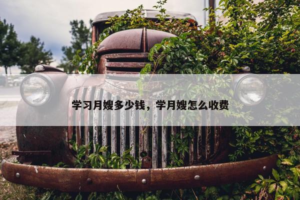 学习月嫂多少钱,学月嫂怎么收费 学习月嫂多少钱,学月嫂怎么收费