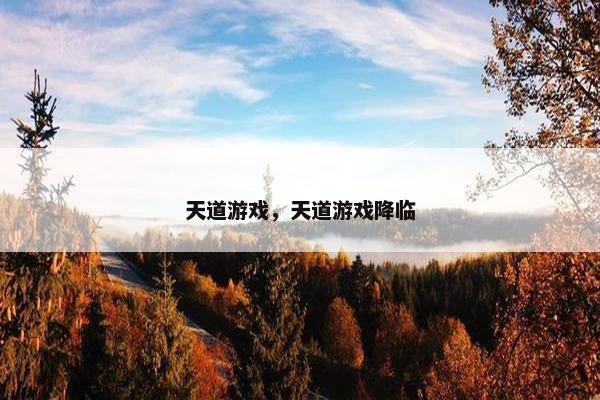 天道游戏,天道游戏降临 天道游戏,天道游戏降临