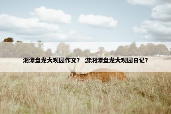 湘潭盘龙大观园作文? 游湘潭盘龙大观园日记? 湘潭盘龙大观园作文? 游湘潭盘龙大观园日记?