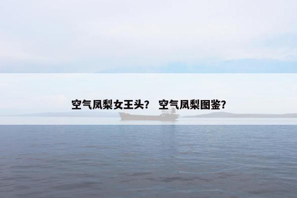 空气凤梨女王头? 空气凤梨图鉴? 空气凤梨女王头? 空气凤梨图鉴?