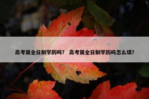 高考属全日制学历吗? 高考属全日制学历吗怎么填? 高考属全日制学历吗? 高考属全日制学历吗怎么填?