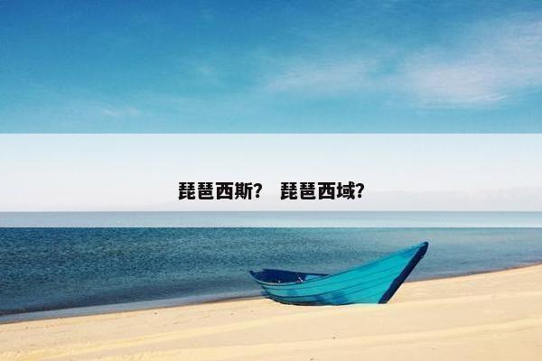 琵琶西斯？ 琵琶西域？