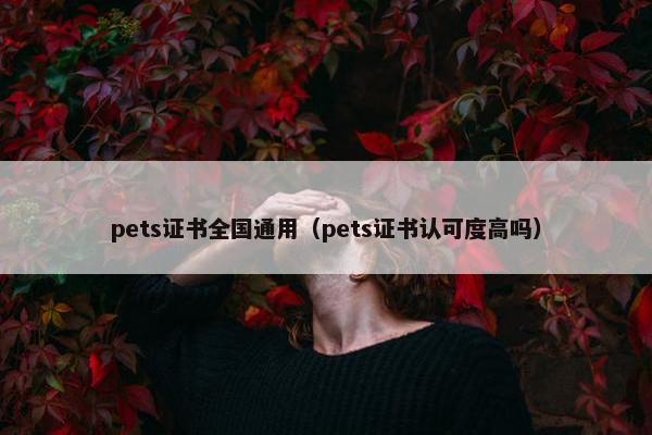 pets证书全国通用（pets证书认可度高吗）