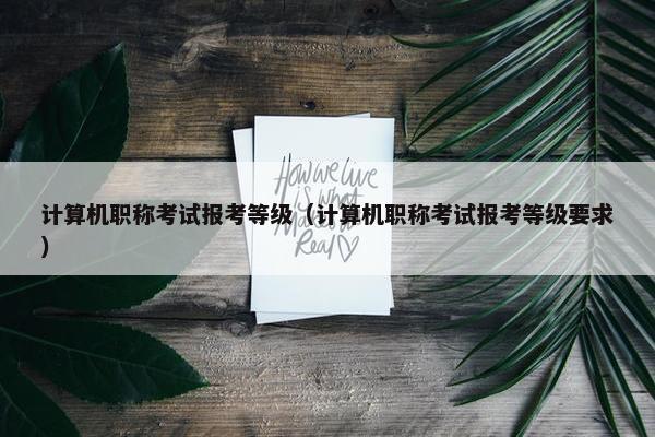 计算机职称考试报考等级（计算机职称考试报考等级要求）