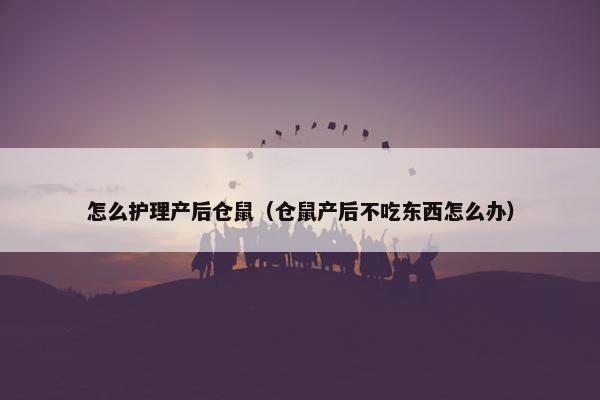 怎么护理产后仓鼠（仓鼠产后不吃东西怎么办）