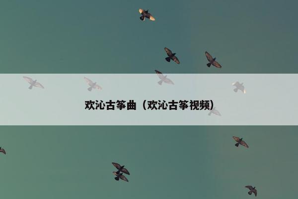 欢沁古筝曲(欢沁古筝视频) 欢沁古筝曲(欢沁古筝视频)
