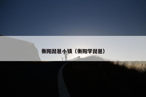 衡阳琵琶小镇（衡阳学琵琶）