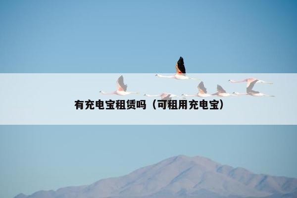 有充电宝租赁吗(可租用充电宝) 有充电宝租赁吗(可租用充电宝)