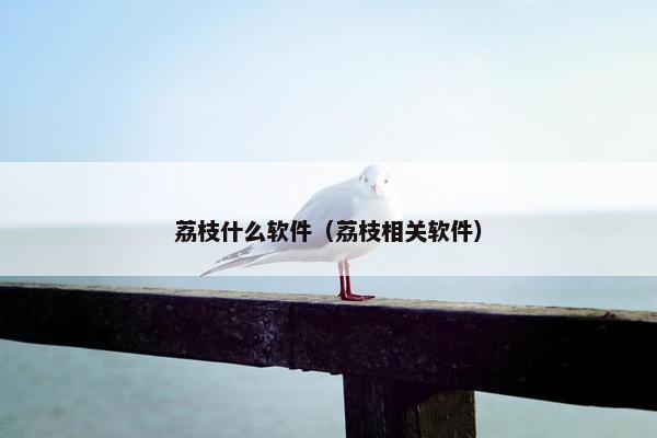 荔枝什么软件（荔枝相关软件）