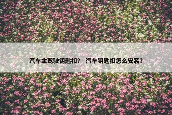 汽车主驾驶钥匙扣？ 汽车钥匙扣怎么安装？