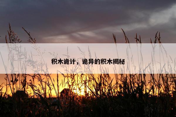 积木诡计，诡异的积木揭秘