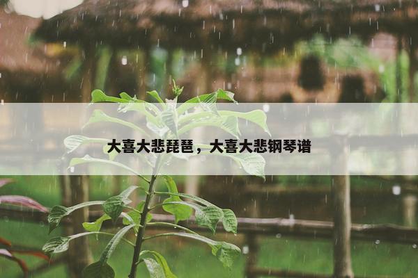 大喜大悲琵琶，大喜大悲钢琴谱