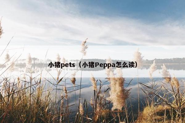 小猪pets(小猪Peppa怎么读) 小猪pets(小猪Peppa怎么读)