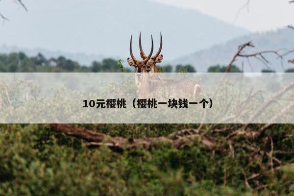 10元樱桃（樱桃一块钱一个）