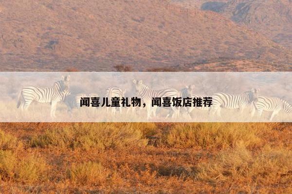 闻喜儿童礼物，闻喜饭店推荐