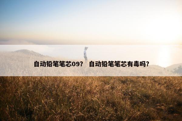 自动铅笔笔芯09? 自动铅笔笔芯有毒吗? 自动铅笔笔芯09? 自动铅笔笔芯有毒吗?