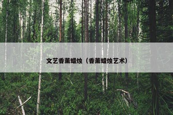 文艺香薰蜡烛(香薰蜡烛艺术) 文艺香薰蜡烛(香薰蜡烛艺术)