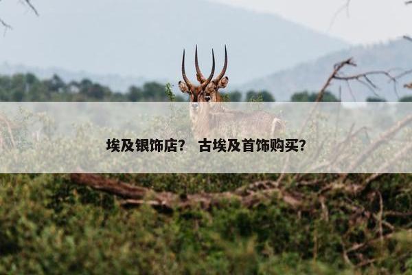 埃及银饰店？ 古埃及首饰购买？