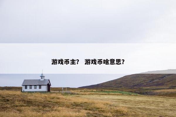 游戏币主? 游戏币啥意思? 游戏币主? 游戏币啥意思?