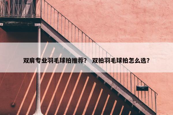 双肩专业羽毛球拍推荐？ 双拍羽毛球拍怎么选？