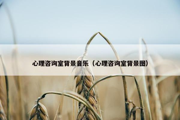 心理咨询室背景音乐(心理咨询室背景图) 心理咨询室背景音乐(心理咨询室背景图)