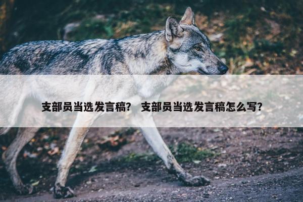 支部员当选发言稿? 支部员当选发言稿怎么写? 支部员当选发言稿? 支部员当选发言稿怎么写?