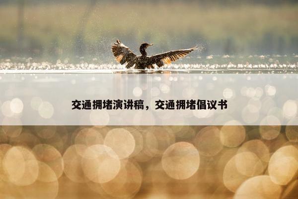 交通拥堵演讲稿，交通拥堵倡议书