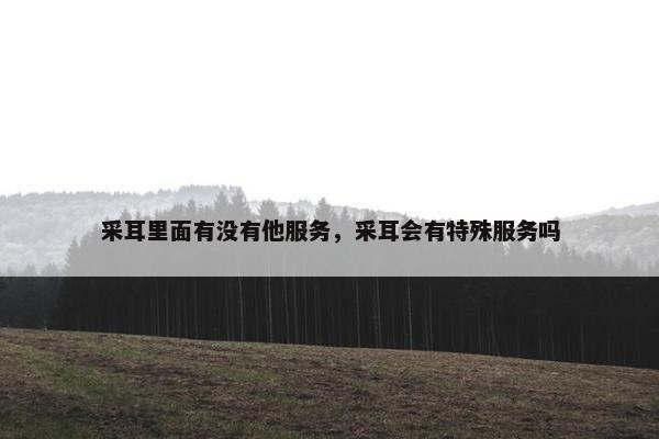 采耳里面有没有他服务,采耳会有特殊服务吗 采耳里面有没有他服务,采耳会有特殊服务吗
