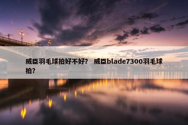 威臣羽毛球拍好不好？ 威臣blade7300羽毛球拍？