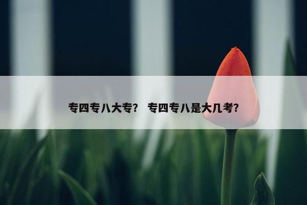 专四专八大专？ 专四专八是大几考？