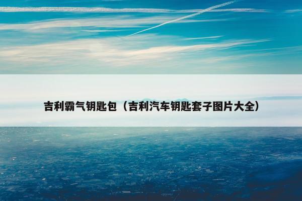 吉利霸气钥匙包(吉利汽车钥匙套子图片大全) 吉利霸气钥匙包(吉利汽车钥匙套子图片大全)