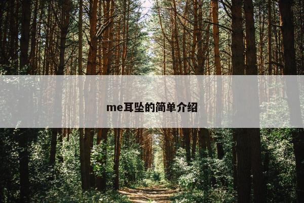 me耳坠的简单介绍 me耳坠的简单介绍