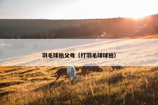 羽毛球拍父母(打羽毛球球拍) 羽毛球拍父母(打羽毛球球拍)