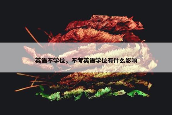 英语不学位，不考英语学位有什么影响