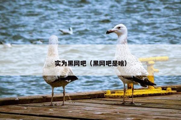 实为黑网吧（黑网吧是啥）