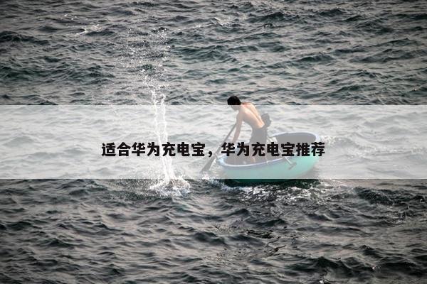 适合华为充电宝，华为充电宝推荐