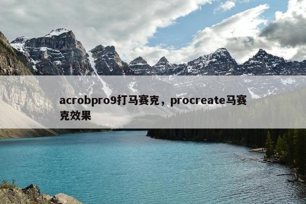 acrobpro9打马赛克，procreate马赛克效果