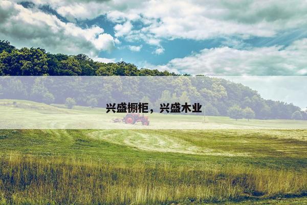 兴盛橱柜,兴盛木业 兴盛橱柜,兴盛木业