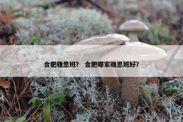 合肥雅思班? 合肥哪家雅思班好? 合肥雅思班? 合肥哪家雅思班好?