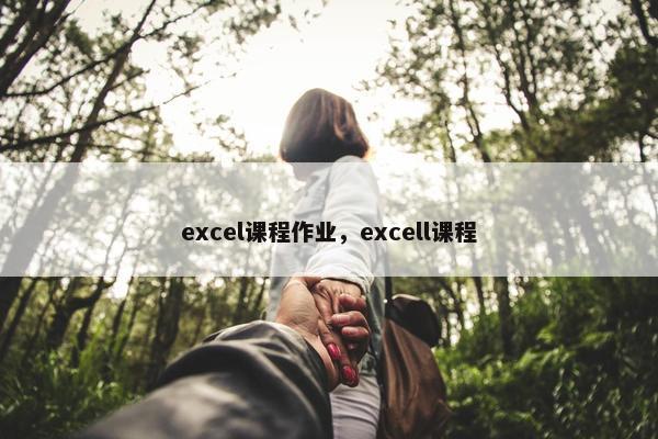excel课程作业，excell课程