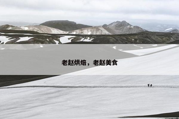 老赵烘焙,老赵美食 老赵烘焙,老赵美食