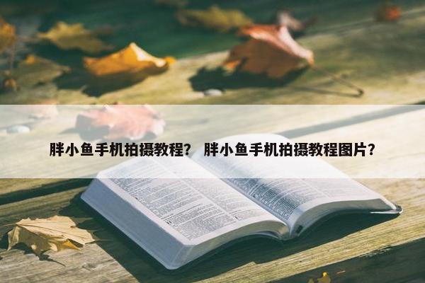 胖小鱼手机拍摄教程？ 胖小鱼手机拍摄教程图片？