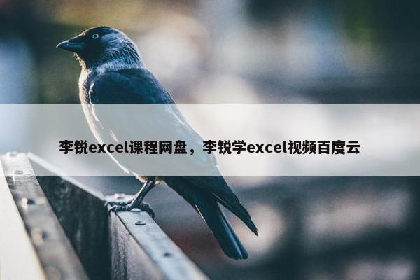 李锐excel课程网盘，李锐学excel视频百度云